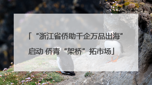 “浙江省侨助千企万品出海”启动 侨青“架桥”拓市场